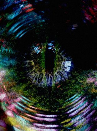poster du film The Spiral