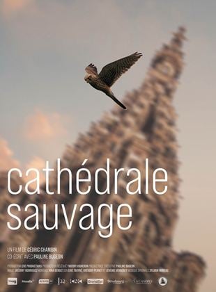 Cathédrale Sauvage streaming