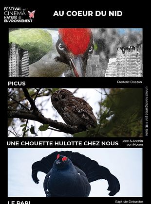 poster du film Au cœur du nid