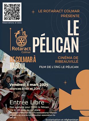 poster du film Le Pélican - De Colmar à Kaboul