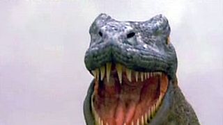 image de La Minute du vendredi 19 mars 2010