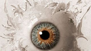 image de Lundi 8 novembre 2010