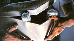 image de "Les Gremlins"