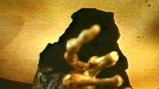 image de La Grande Faucheuse