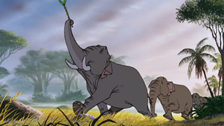 image de Les éléphants