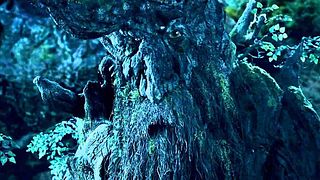 image de Les arbres qui parlent