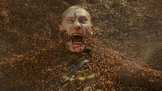 image de Les nids d'insectes