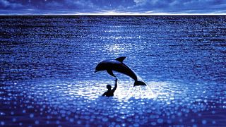 image de Les dauphins