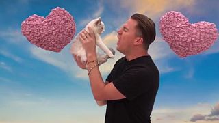 image de Channing Tatum s'en prend à un pauvre chaton