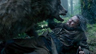 image de Les combats contre un ours