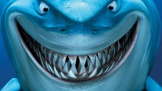 image de Les requins