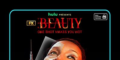 poster de la série Beau Pilote