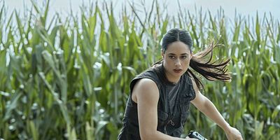 poster de la série Brûlage