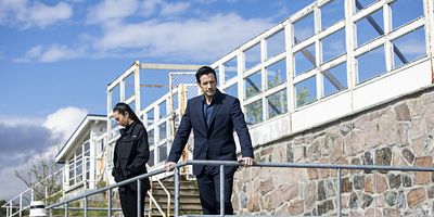 poster de la série Tuxhorn