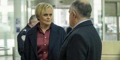 poster de la série Animal romance