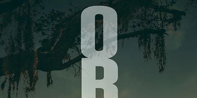 poster de la série 
