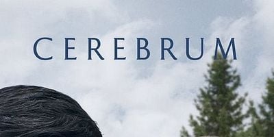 poster de la série 