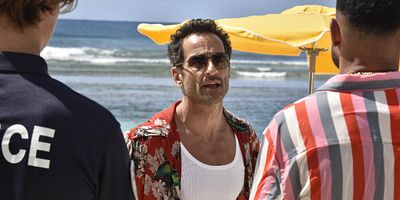 poster de la série Le mystère du cocotier vert