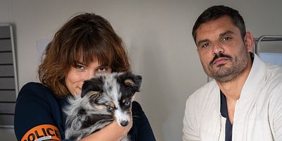 poster de la série A priori, c’est une enquête parmi les chiens
