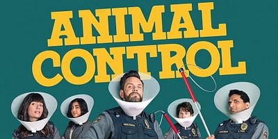 poster de la série 