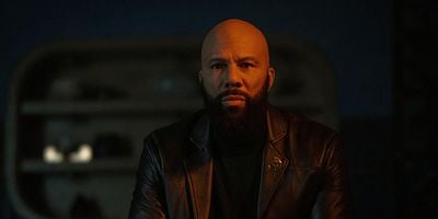 poster de la série La plongée