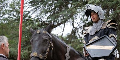poster de la série Le chevalier est tombé au combat