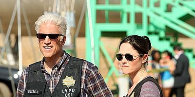 poster de la série Fleur sauvage