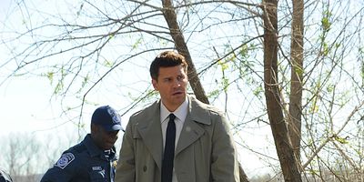 poster de la série L'herbe sous le pied