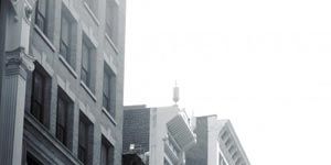 poster de la série Louie et les myrtilles