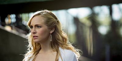 poster de la série La force vitale