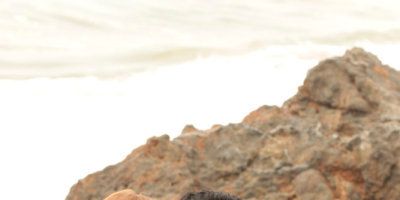 poster de la série Anges et démons