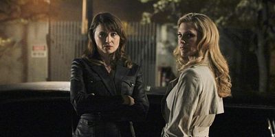 poster de la série L'enchanteresse