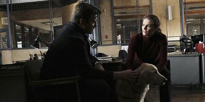 poster de la série Une vie de chien