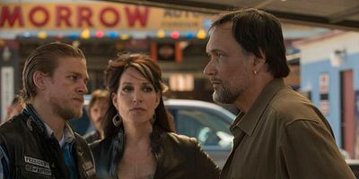 poster de la série Hommage au guerrier