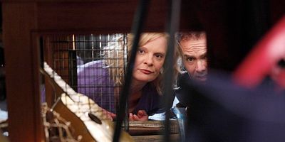 poster de la série La tête dans les nuages