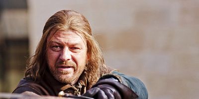 poster de la série Le loup et le lion