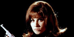 poster de la série Une affaire de chien