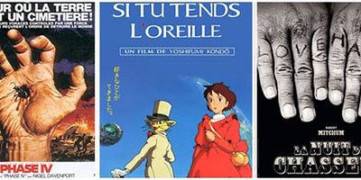Un seul film à la réalisation, et puis s'en va