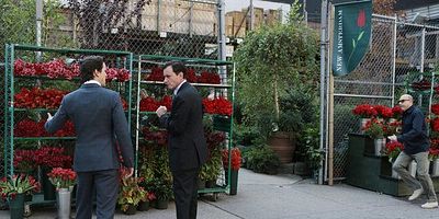 poster de la série Le secret du vitrail