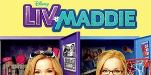 poster de la série Les jumelles Rooney