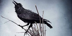 poster de la série Baiser de sang