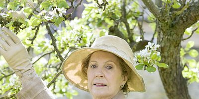 poster de la série Révolution à Downton