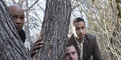 poster de la série L'Arbre qui cache la forêt...