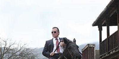 poster de la série Le venin du serpent