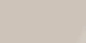 poster de la série Big Dog