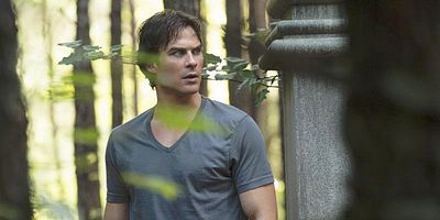 poster de la série La pierre du Phoenix