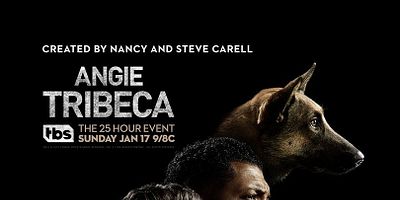 poster de la série Qui veut la peau du maire ?