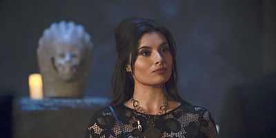 poster de la série La phase finale