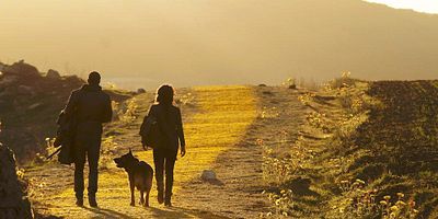 poster de la série La bête perpétuelle