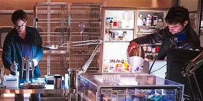 poster de la série Des fourmis et des hommes